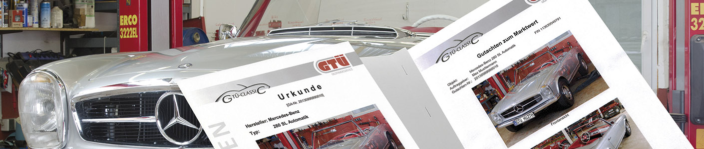 GTÜ Partner XYZ
